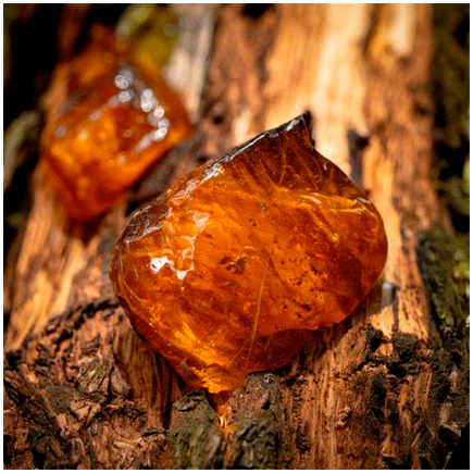 Resin Plus flavour